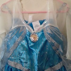Elsa's Coatume Dress